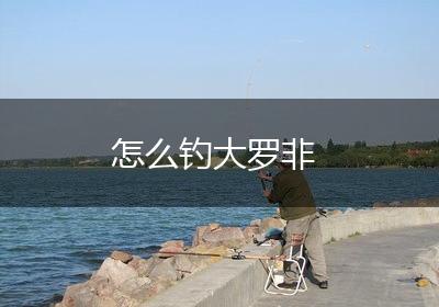 怎么钓大罗非