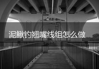 泥鳅钓翘嘴线组怎么做