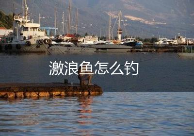 激浪鱼怎么钓