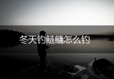 冬天钓鲢鳙怎么钓