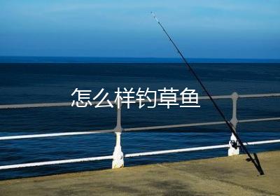 怎么样钓草鱼