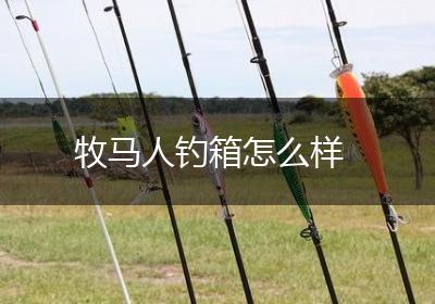 牧马人钓箱怎么样