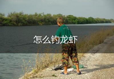 怎么钓龙虾