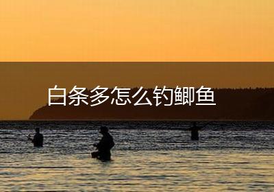 白条多怎么钓鲫鱼