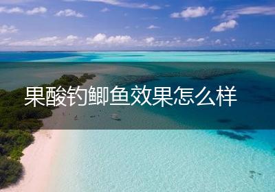 果酸钓鲫鱼效果怎么样