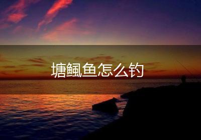 塘鲺鱼怎么钓