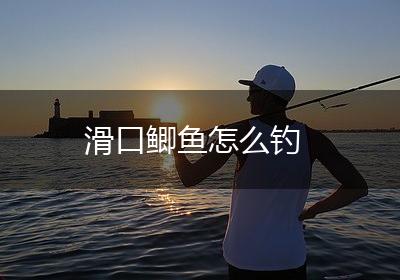 滑口鲫鱼怎么钓