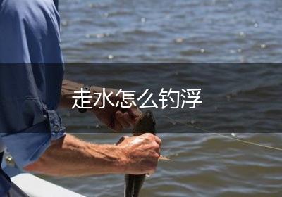走水怎么钓浮