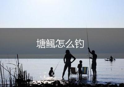 塘鲺怎么钓