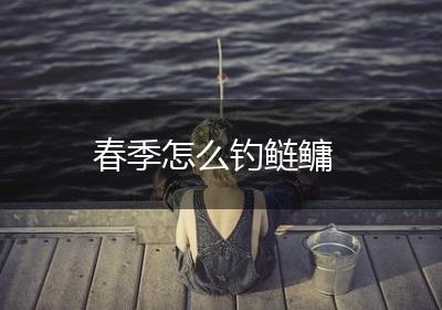 春季怎么钓鲢鳙
