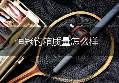 恒冠钓箱质量怎么样