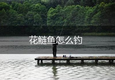花鲢鱼怎么钓