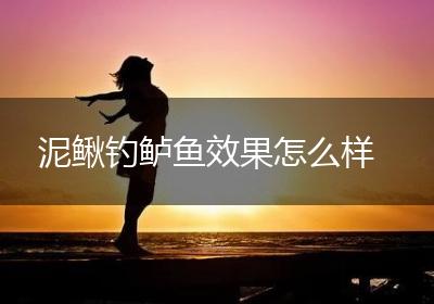 泥鳅钓鲈鱼效果怎么样