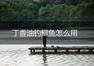丁香油钓鲫鱼怎么用