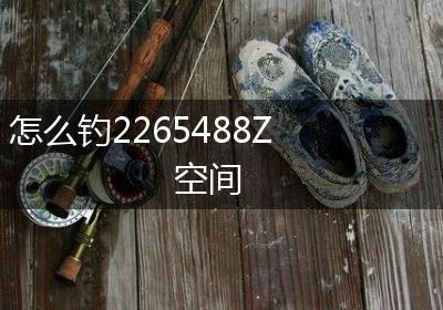 怎么钓2265488Z空间