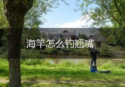 海竿怎么钓翘嘴