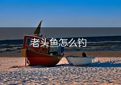 老头鱼怎么钓