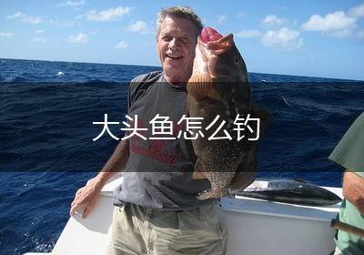 大头鱼怎么钓