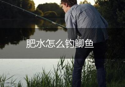 肥水怎么钓鲫鱼