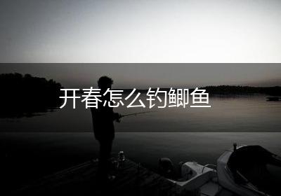 开春怎么钓鲫鱼