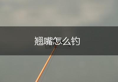 翘嘴怎么钓