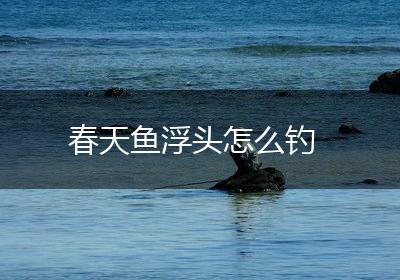 春天鱼浮头怎么钓