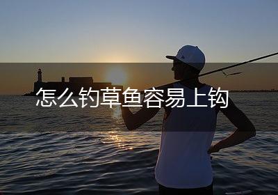 怎么钓草鱼容易上钩