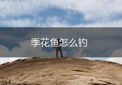 季花鱼怎么钓