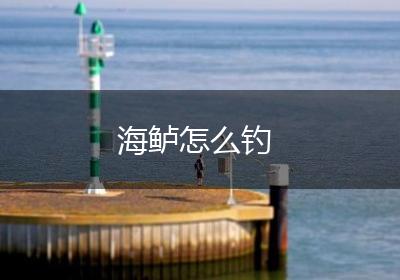 海鲈怎么钓