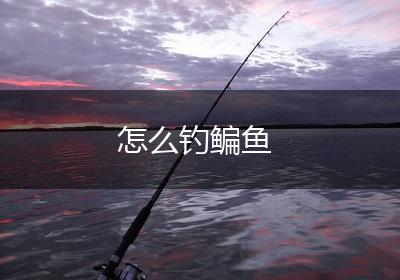 怎么钓鳊鱼