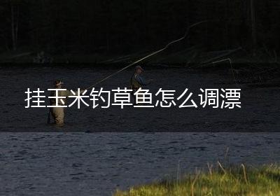 挂玉米钓草鱼怎么调漂