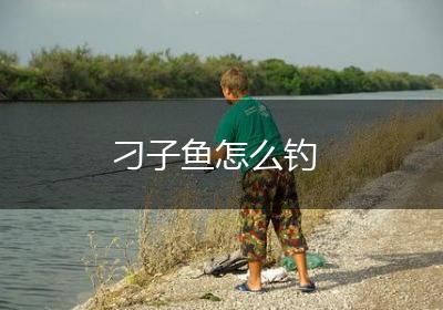 刁子鱼怎么钓