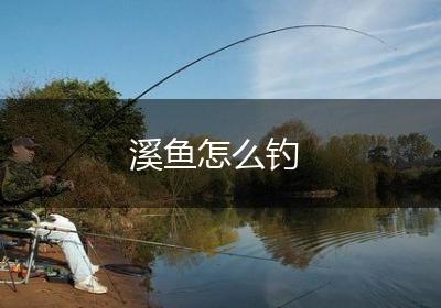 溪鱼怎么钓