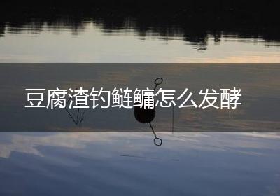 豆腐渣钓鲢鳙怎么发酵