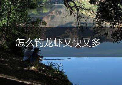 怎么钓龙虾又快又多