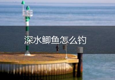 深水鲫鱼怎么钓