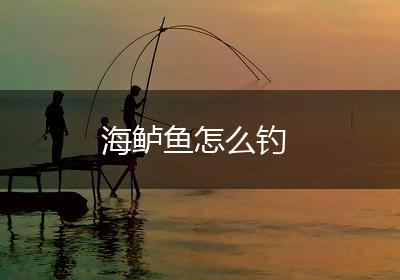 海鲈鱼怎么钓