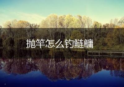 抛竿怎么钓鲢鳙