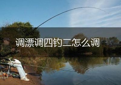 调漂调四钓二怎么调