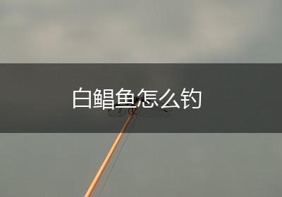 白鲳鱼怎么钓