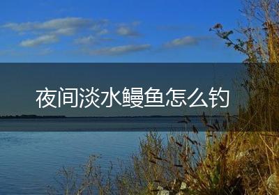 夜间淡水鳗鱼怎么钓