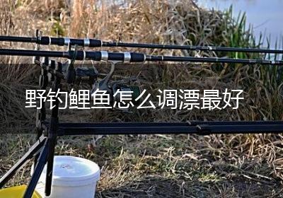 野钓鲤鱼怎么调漂最好