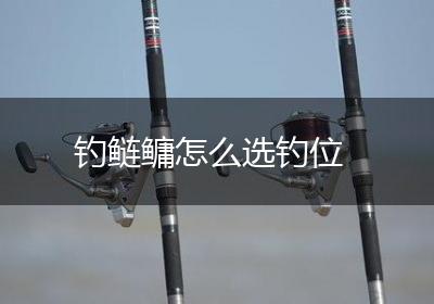 钓鲢鳙怎么选钓位