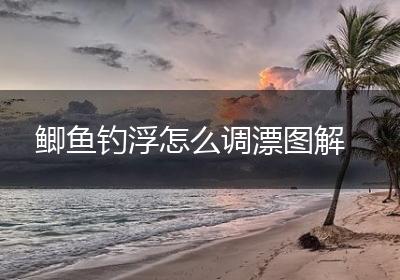 鲫鱼钓浮怎么调漂图解