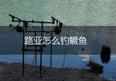 路亚怎么钓鳜鱼