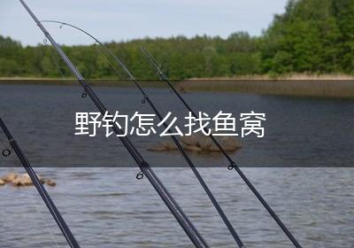 野钓怎么找鱼窝