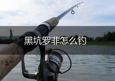 黑坑罗非怎么钓