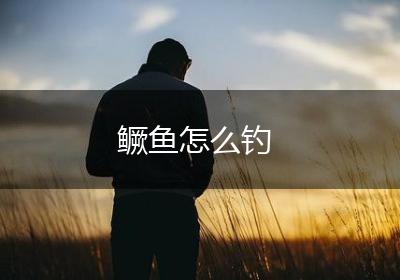 鳜鱼怎么钓