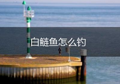 白鲢鱼怎么钓