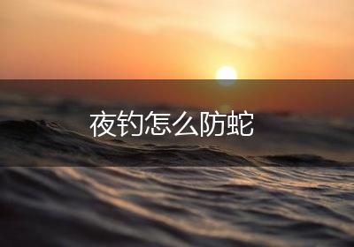 夜钓怎么防蛇